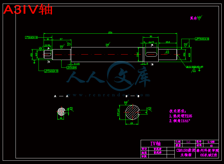 A3IV轴.gif